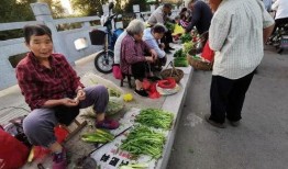 路边摊在线观看完整,在线畅享路边摊风味之旅