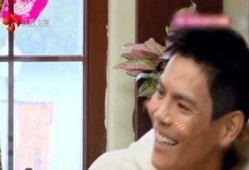 八卦娱乐圈爆料王是谁,揭秘神秘幕后推手